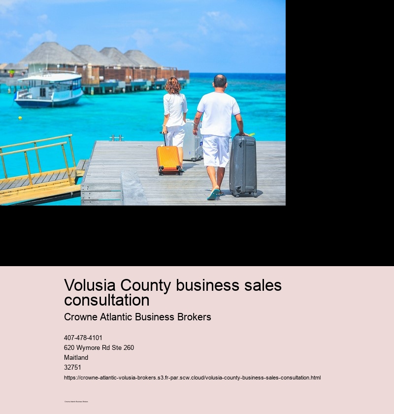 Volusia County business sales consultation