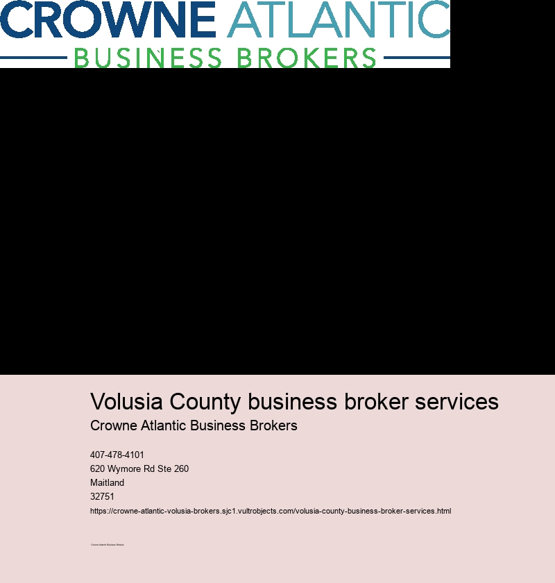 How to Utilize the Services of Volusia County Business Brokers for Success