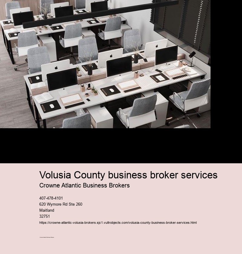 What is the Process of Buying a Business through Brokers in Volusia County?
