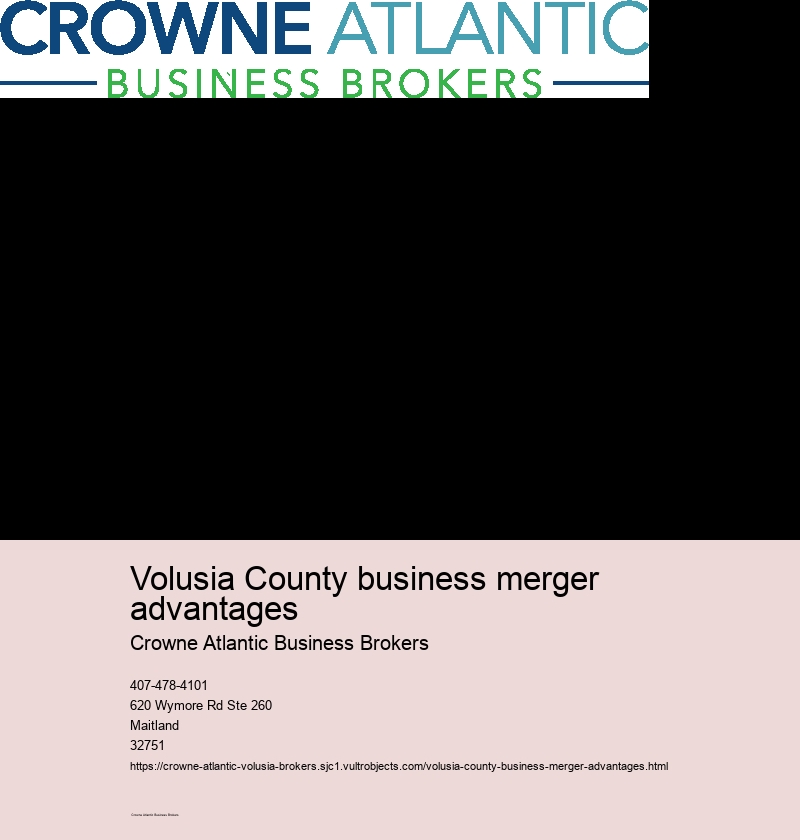 What is the Process of Buying a Business through Brokers in Volusia County?
