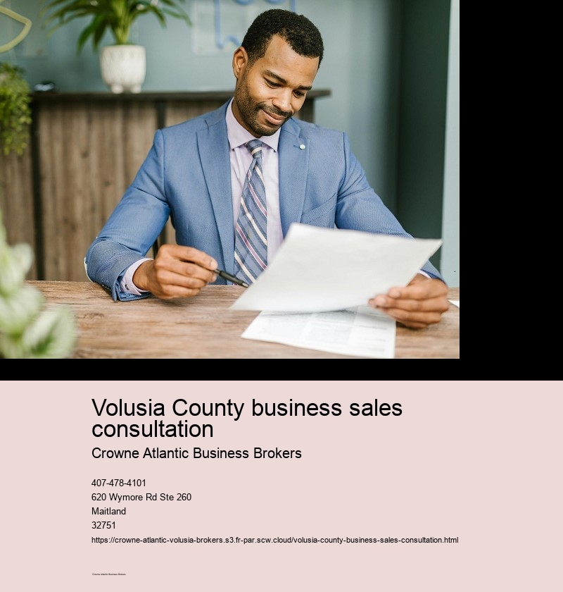 What is the Process of Buying a Business through Brokers in Volusia County?