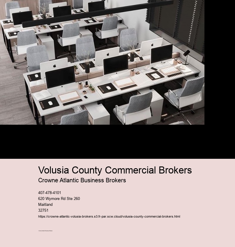 What is the Role of Business Brokers in Volusia County?